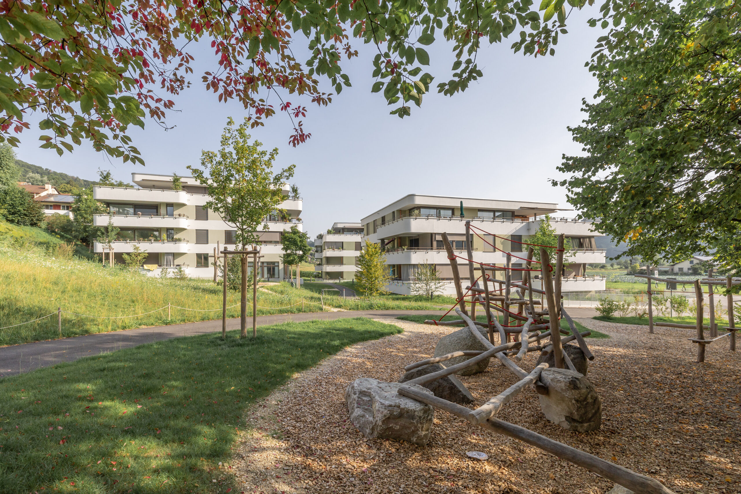 250813_Toffenmatt-Bilder-3